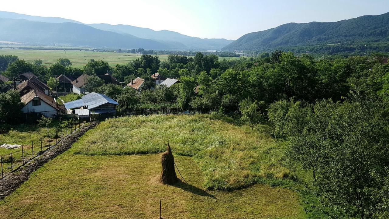 Pensiunea Adeluta Apartament Călimăneşti Eksteriør bilde