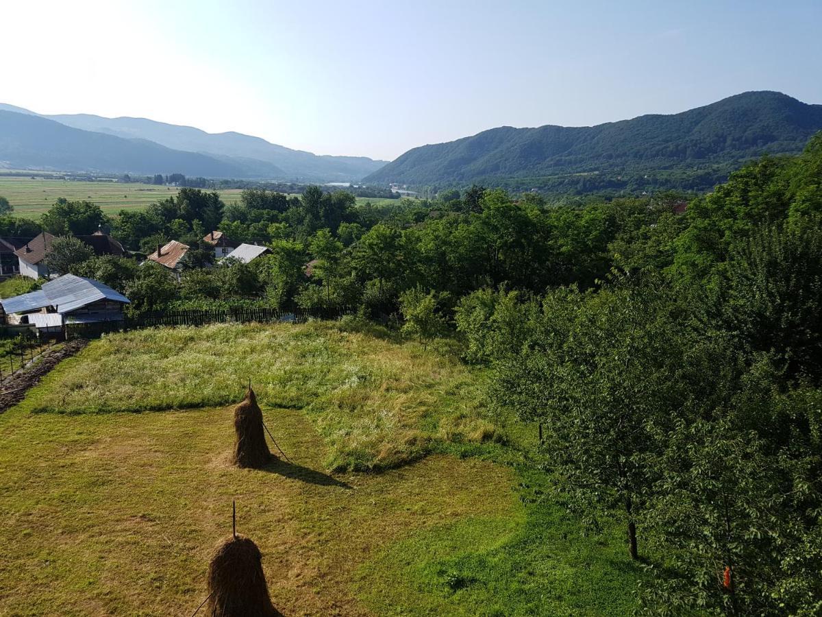 Pensiunea Adeluta Apartament Călimăneşti Eksteriør bilde